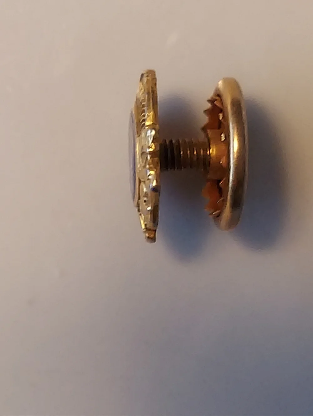 Lions Club International Gold Tone Blue Enamel Screw Back Pin VINTAGE